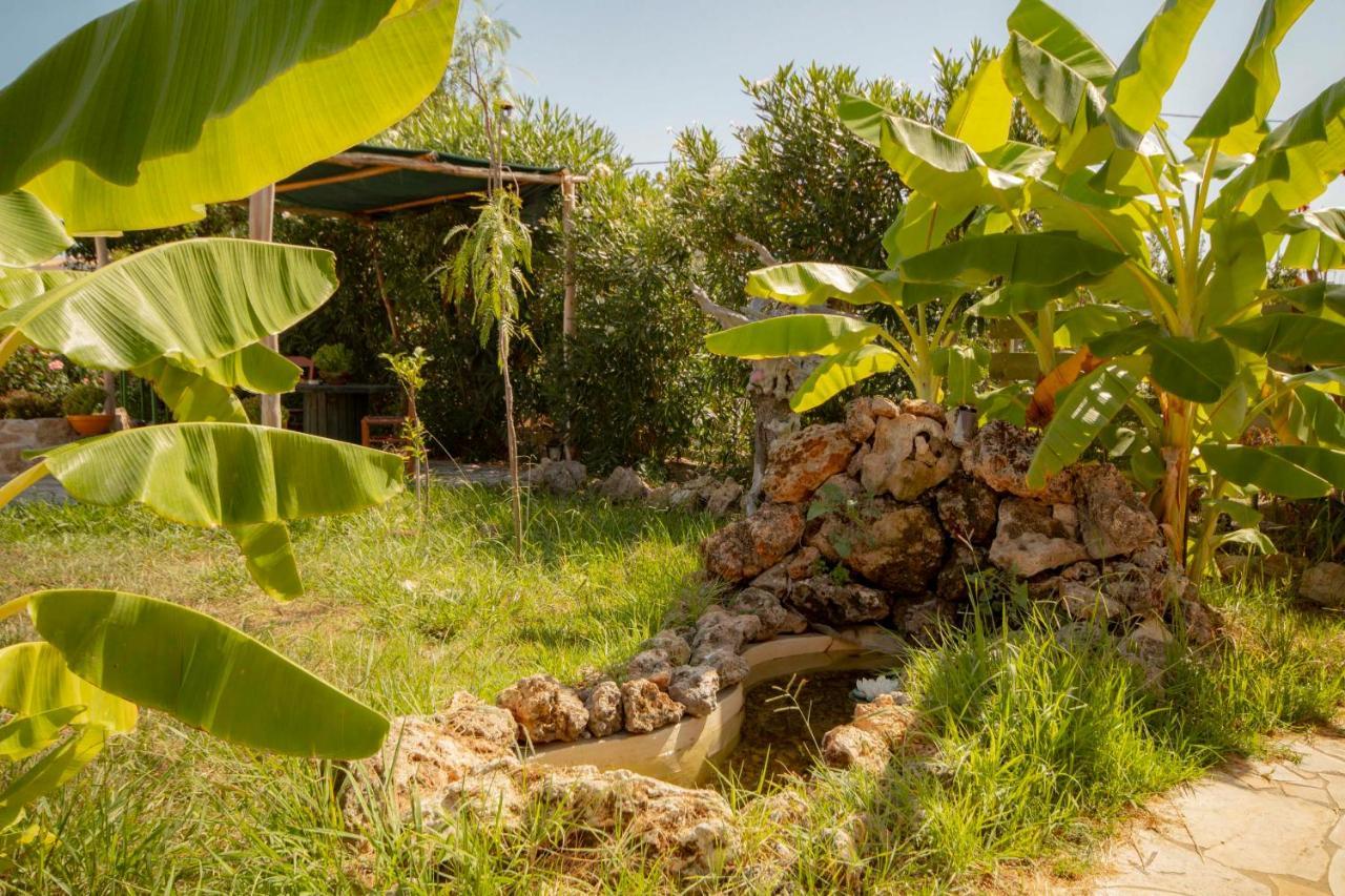 Harmony Corfu Apartments & Studios Экстерьер фото