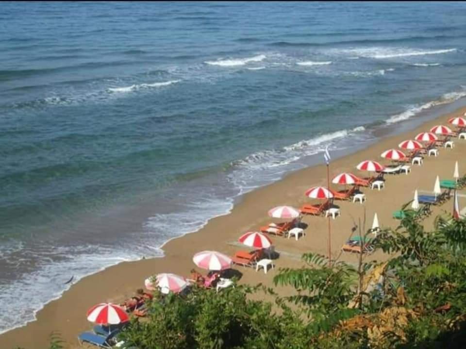 Harmony Corfu Apartments & Studios Экстерьер фото
