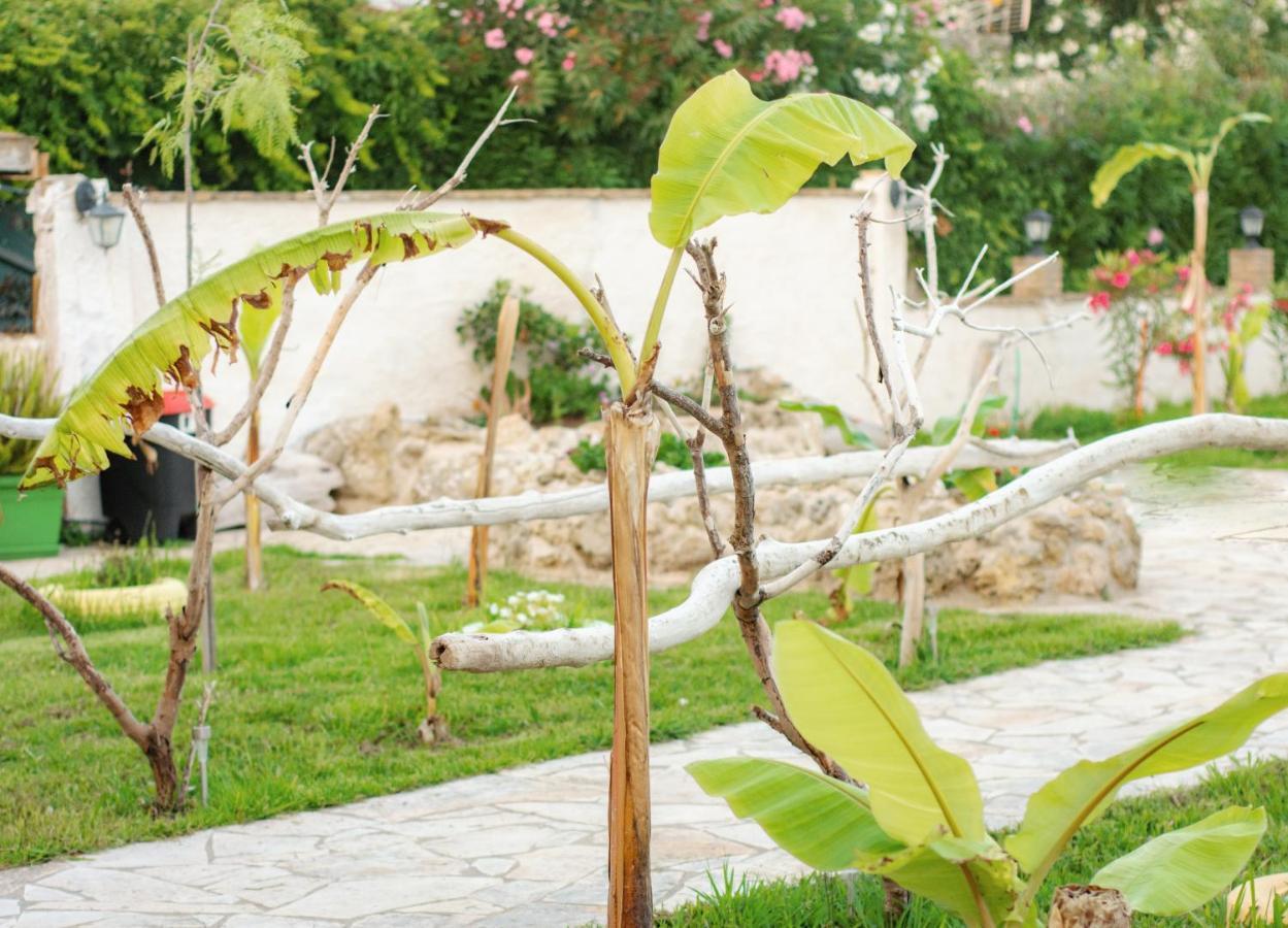 Harmony Corfu Apartments & Studios Экстерьер фото